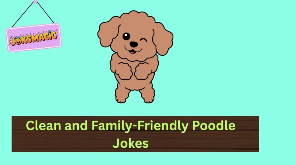 Clean and Family-Friendly Poodle Jokes