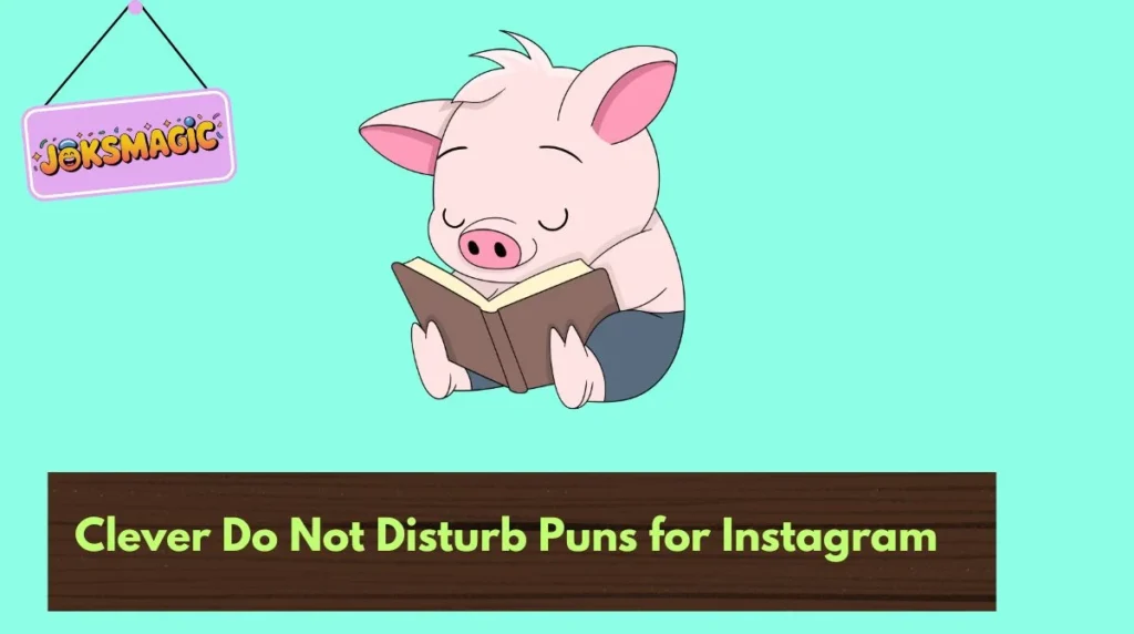 Clever Do Not Disturb Puns for Instagram