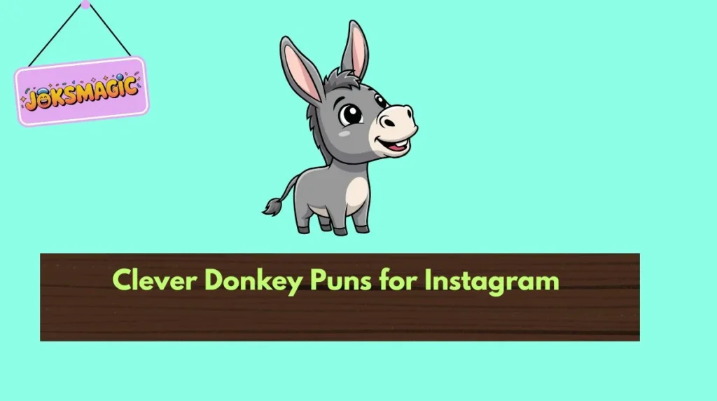 Clever Donkey Puns for Instagram
