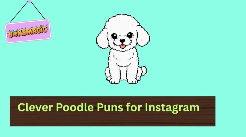 Clever Poodle Puns for Instagram