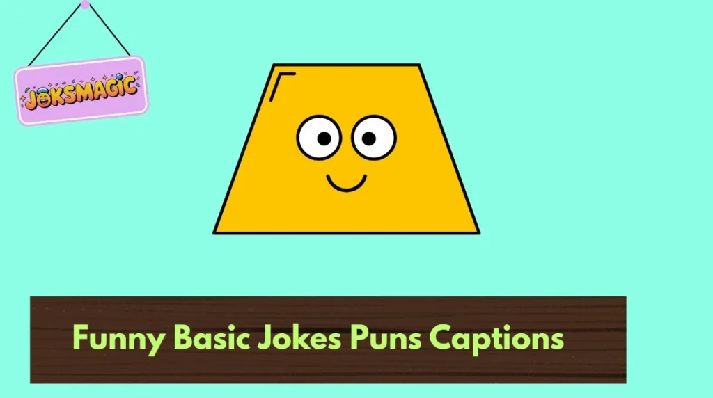 Funny Basic Jokes Puns Captions