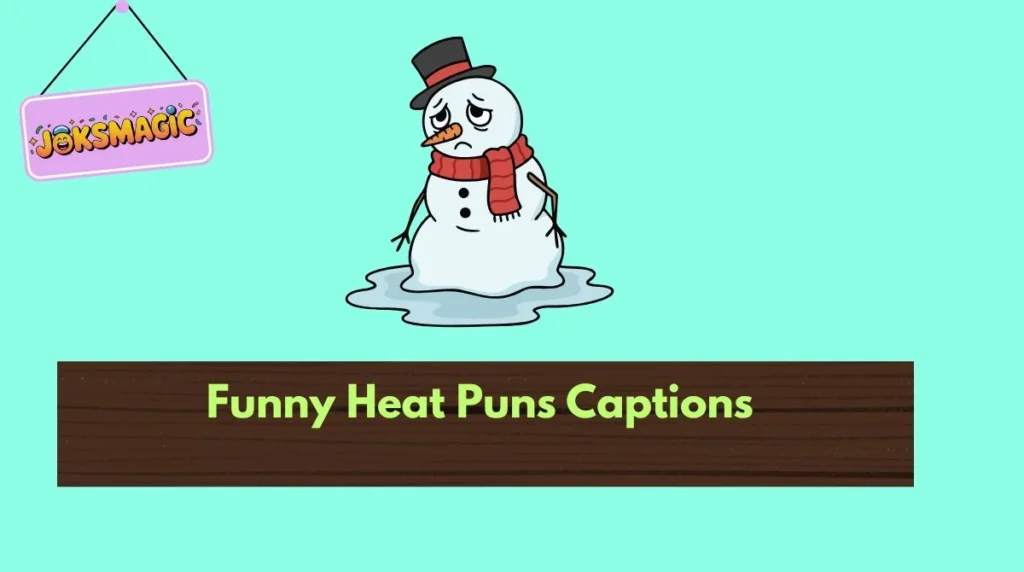 Funny Heat Puns Captions