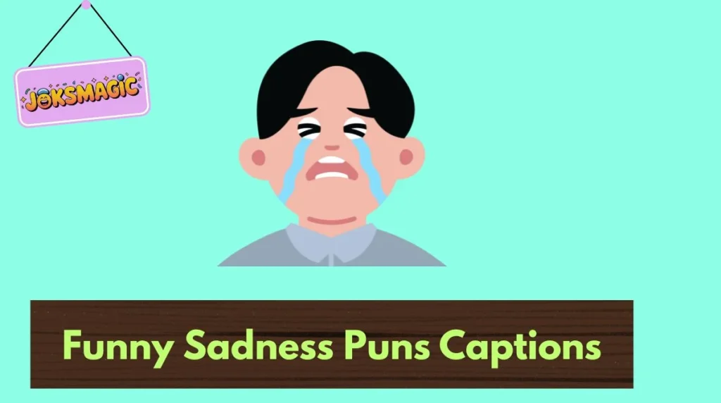 Funny Sadness Puns Captions