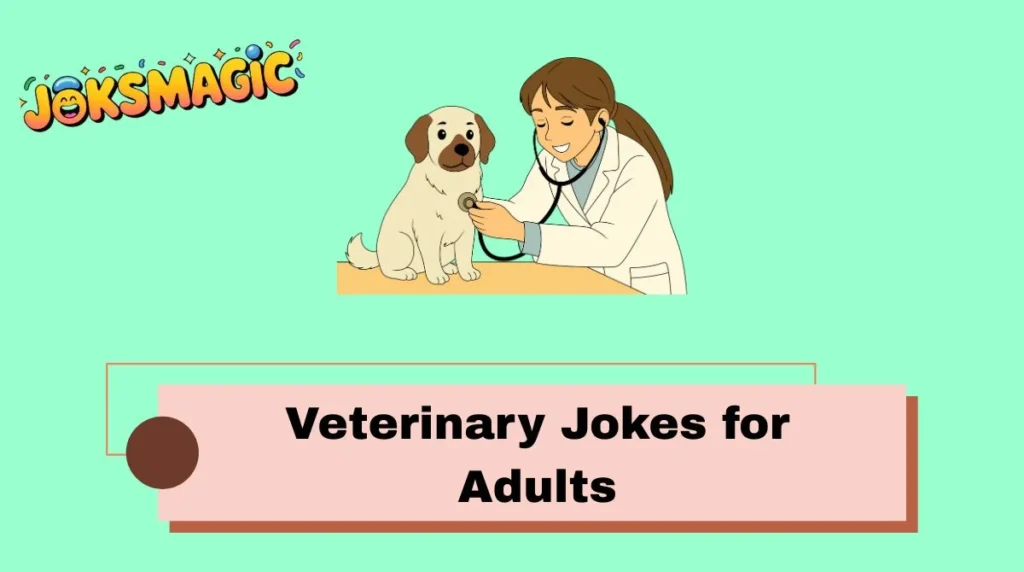 Veterinary Jokes for Adults