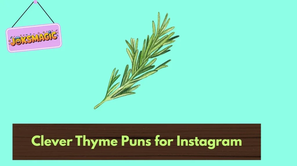 Clever Thyme Puns for Instagram