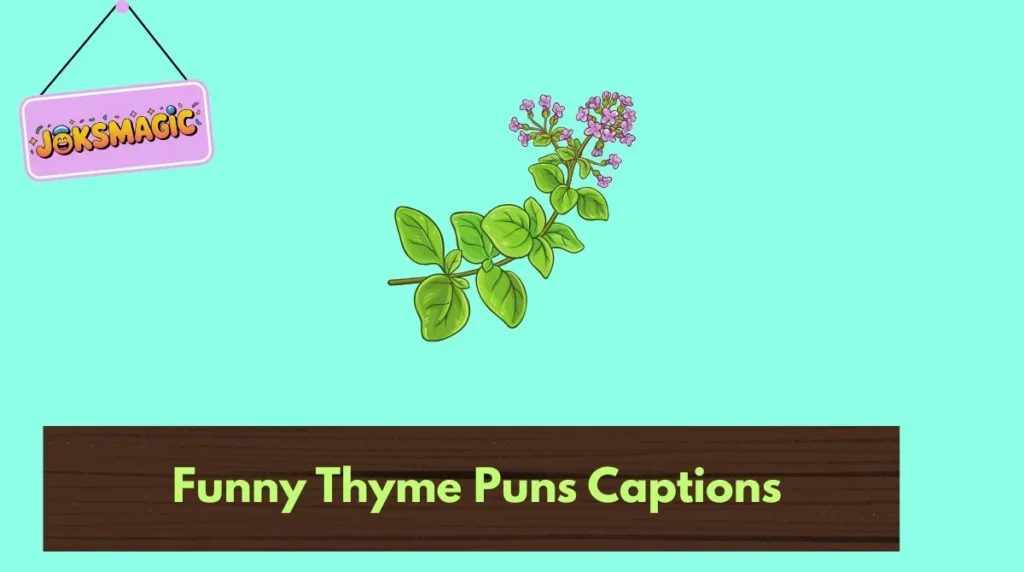 Funny Thyme Puns Captions