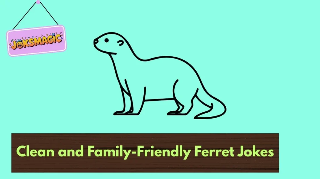 Clean and Family-Friendly Ferret Jokes