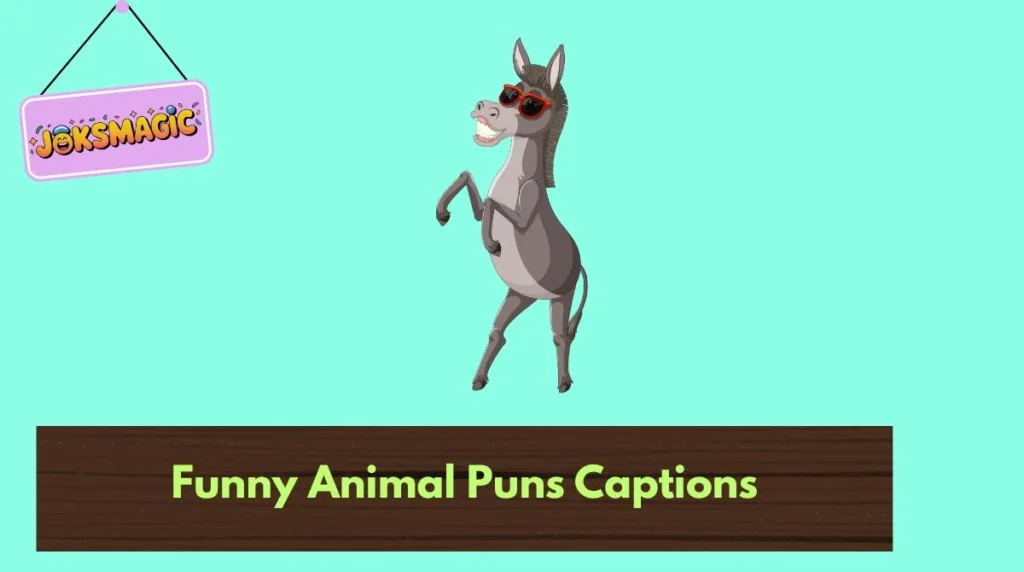 Funny Animal Puns Captions