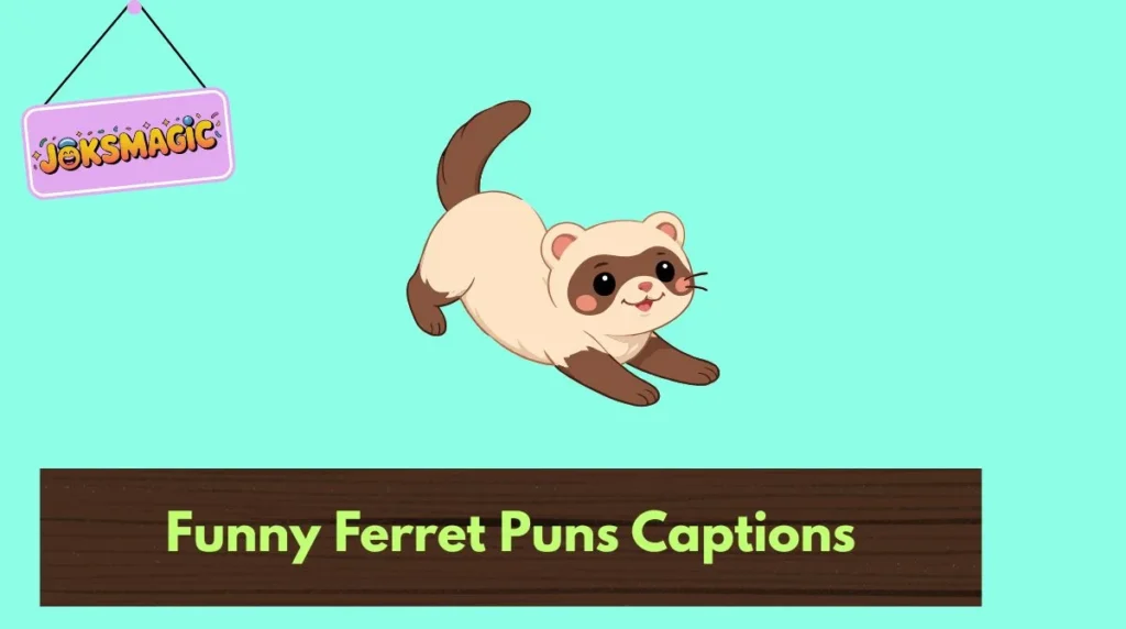 Funny Ferret Puns Captions