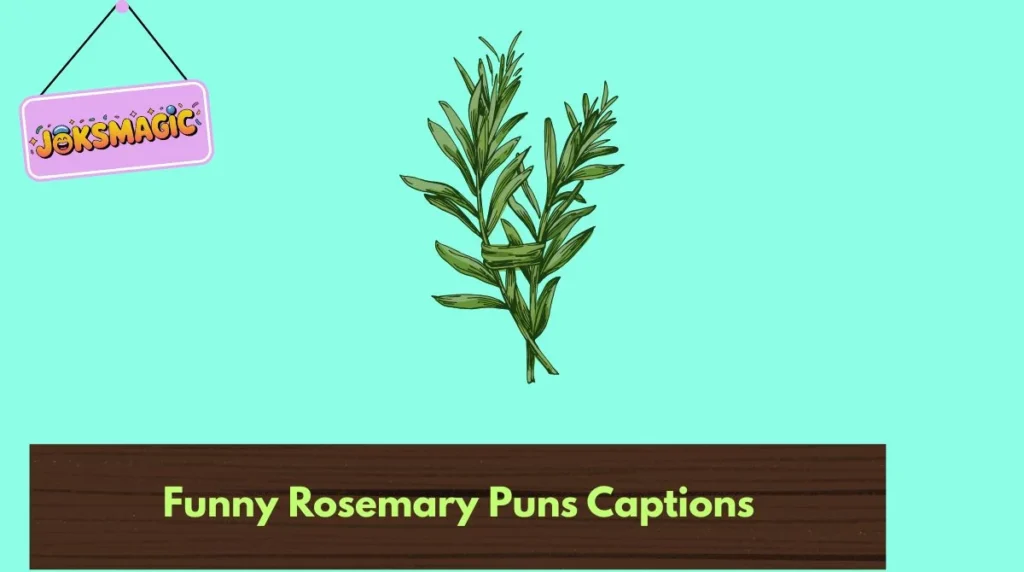 Funny Rosemary Puns Captions