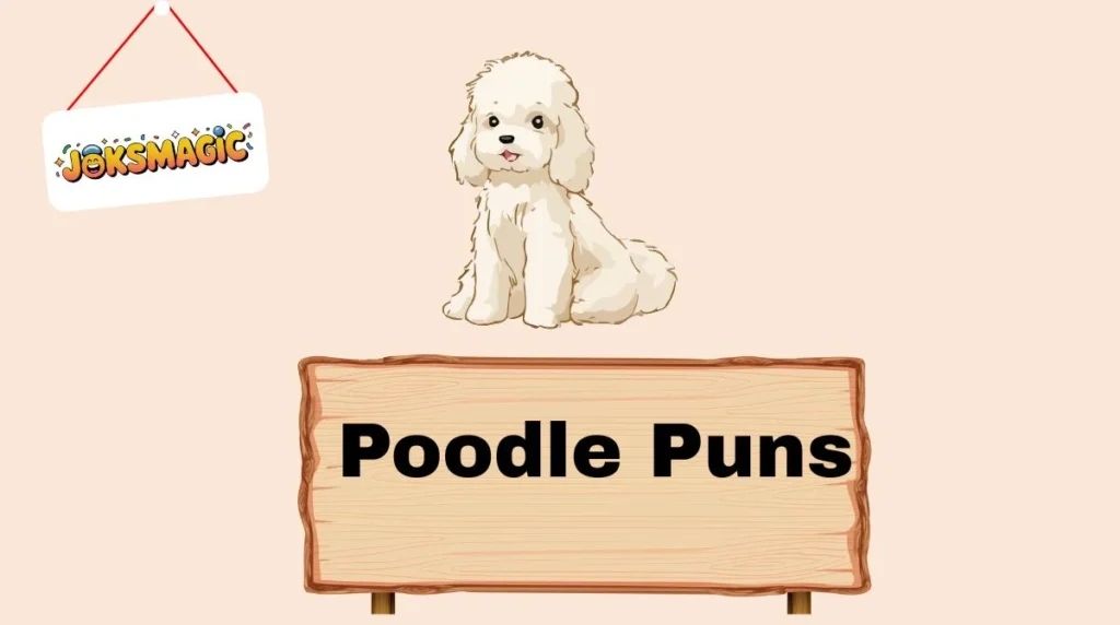 Poodle Puns