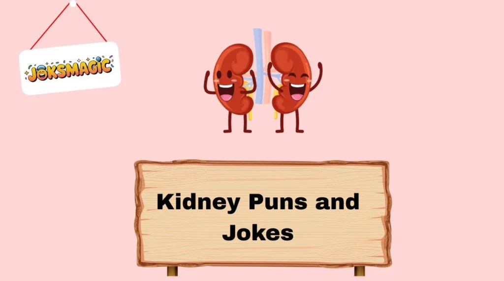 Kidney Puns and Jokes