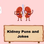 Kidney Puns and Jokes